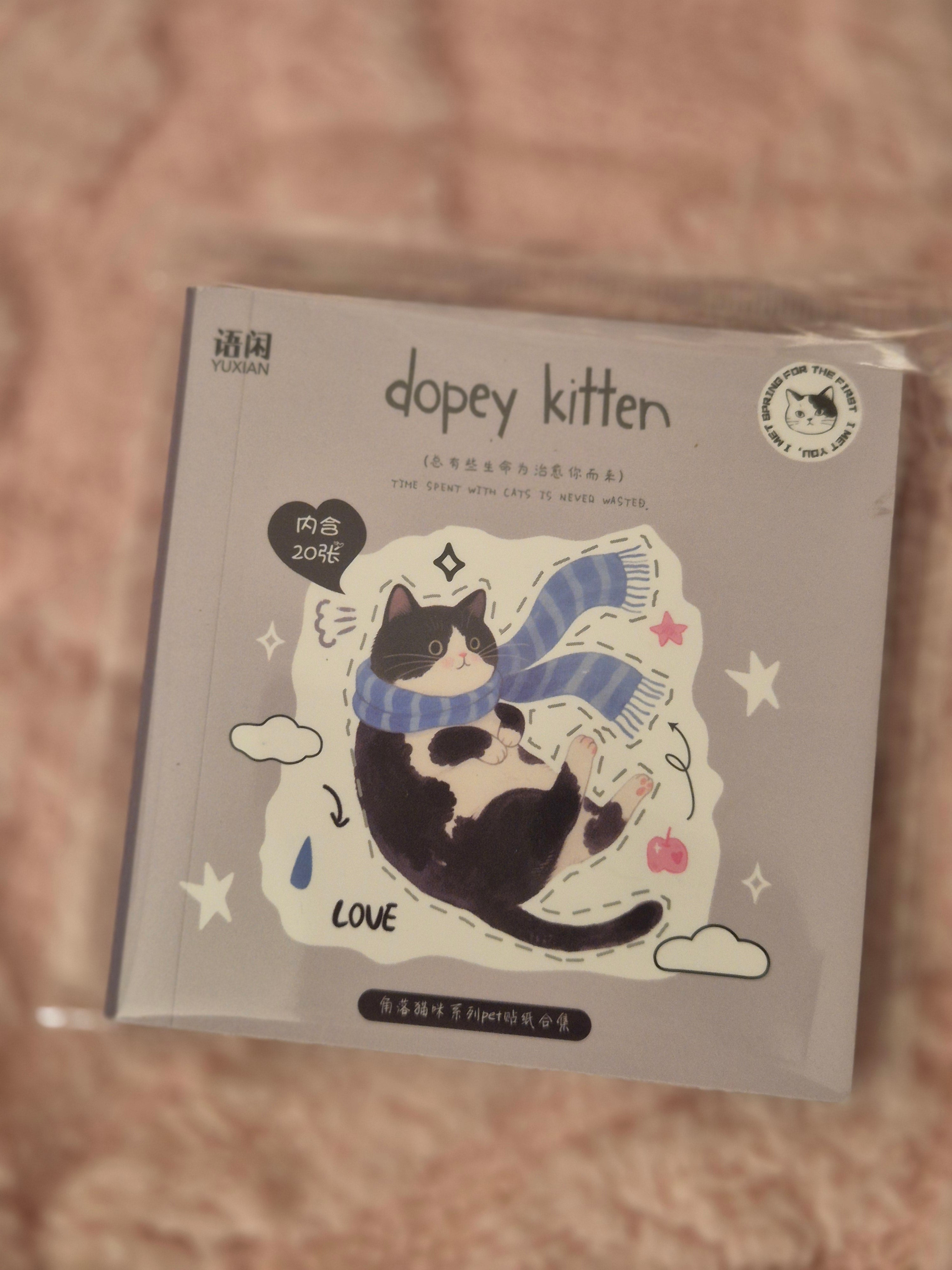 Petit carnet de stickers chats – illustrations mignonnes