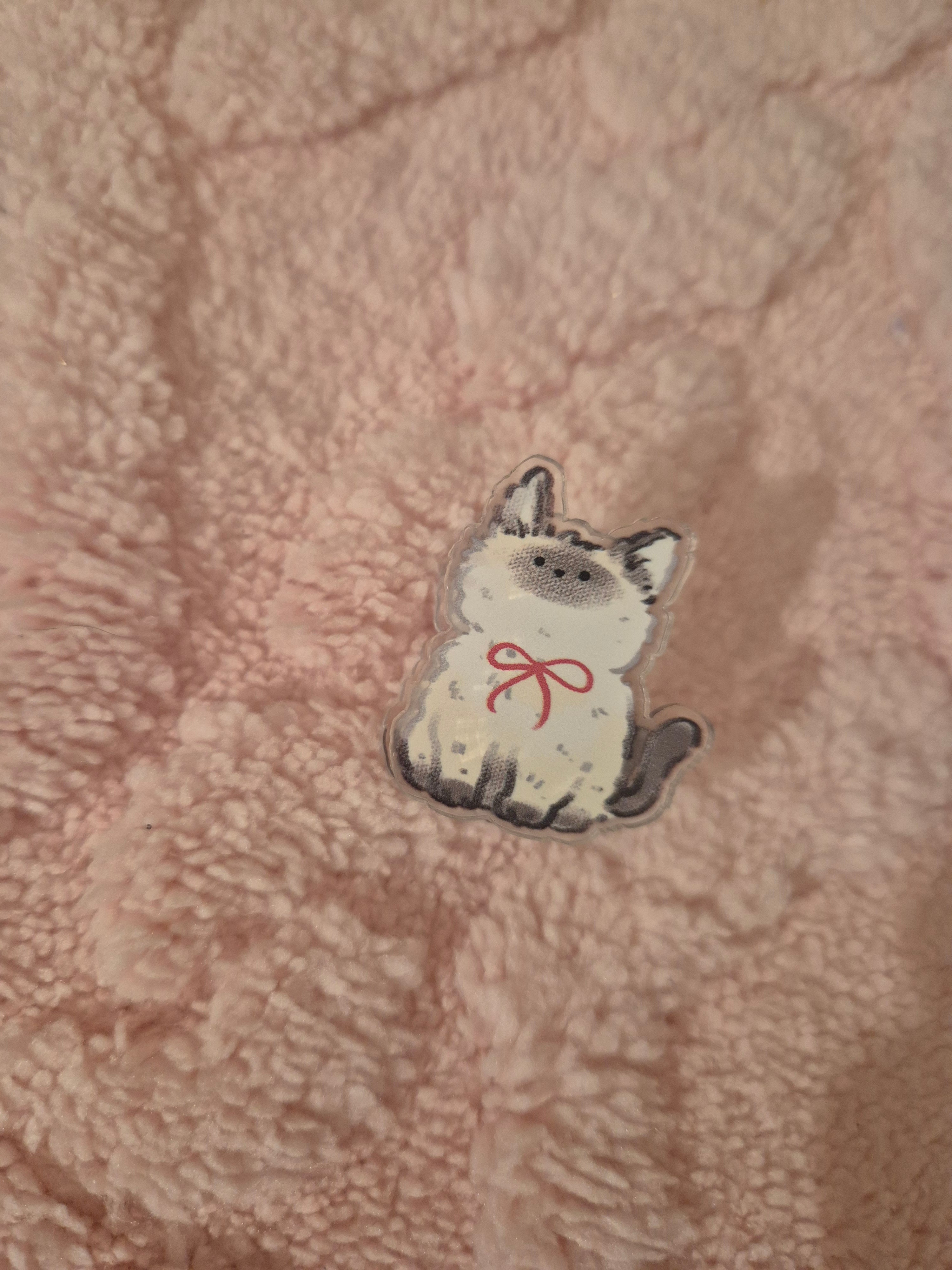 Pince mémo chaton kawaii