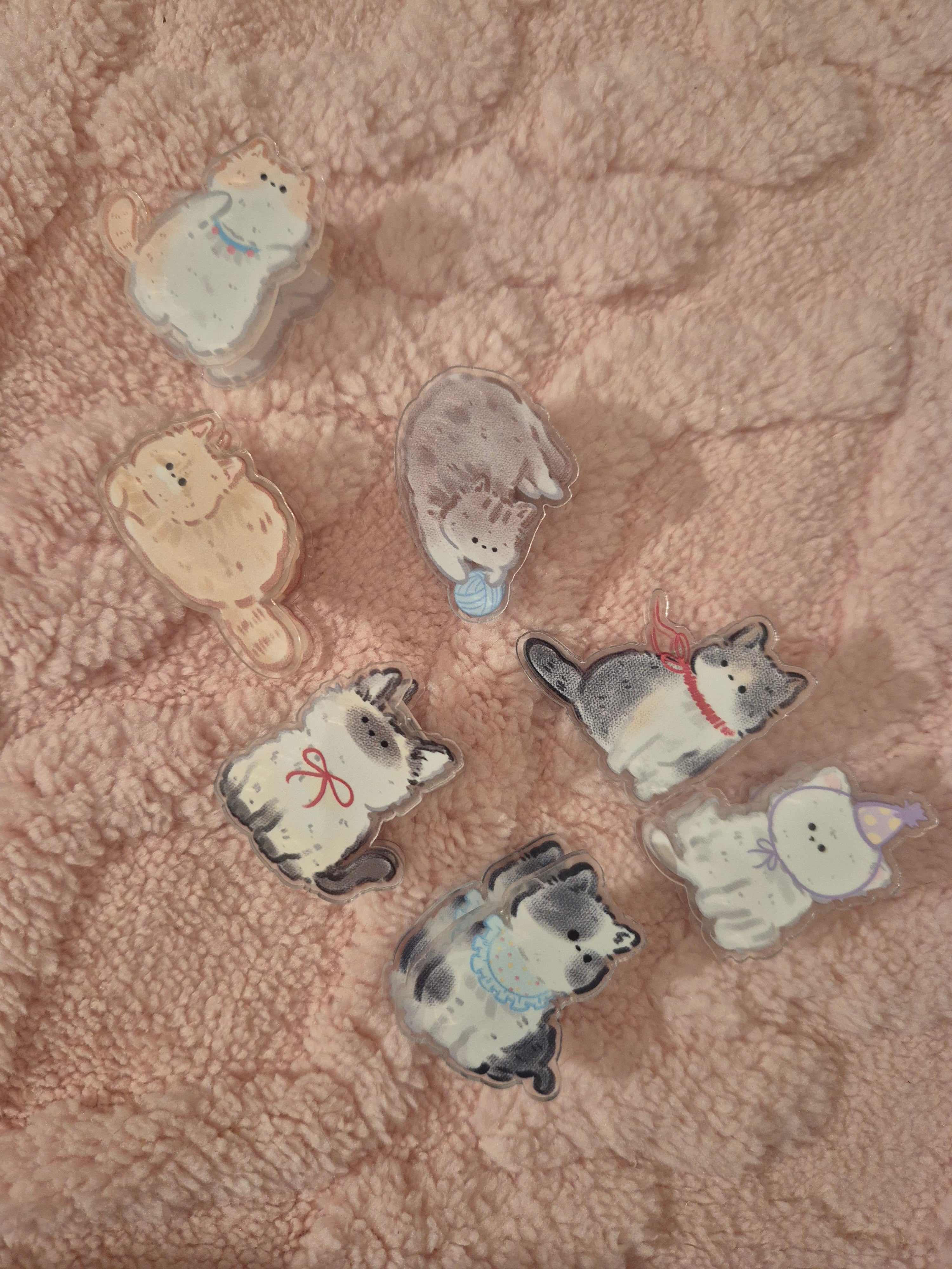 Pince mémo chaton kawaii