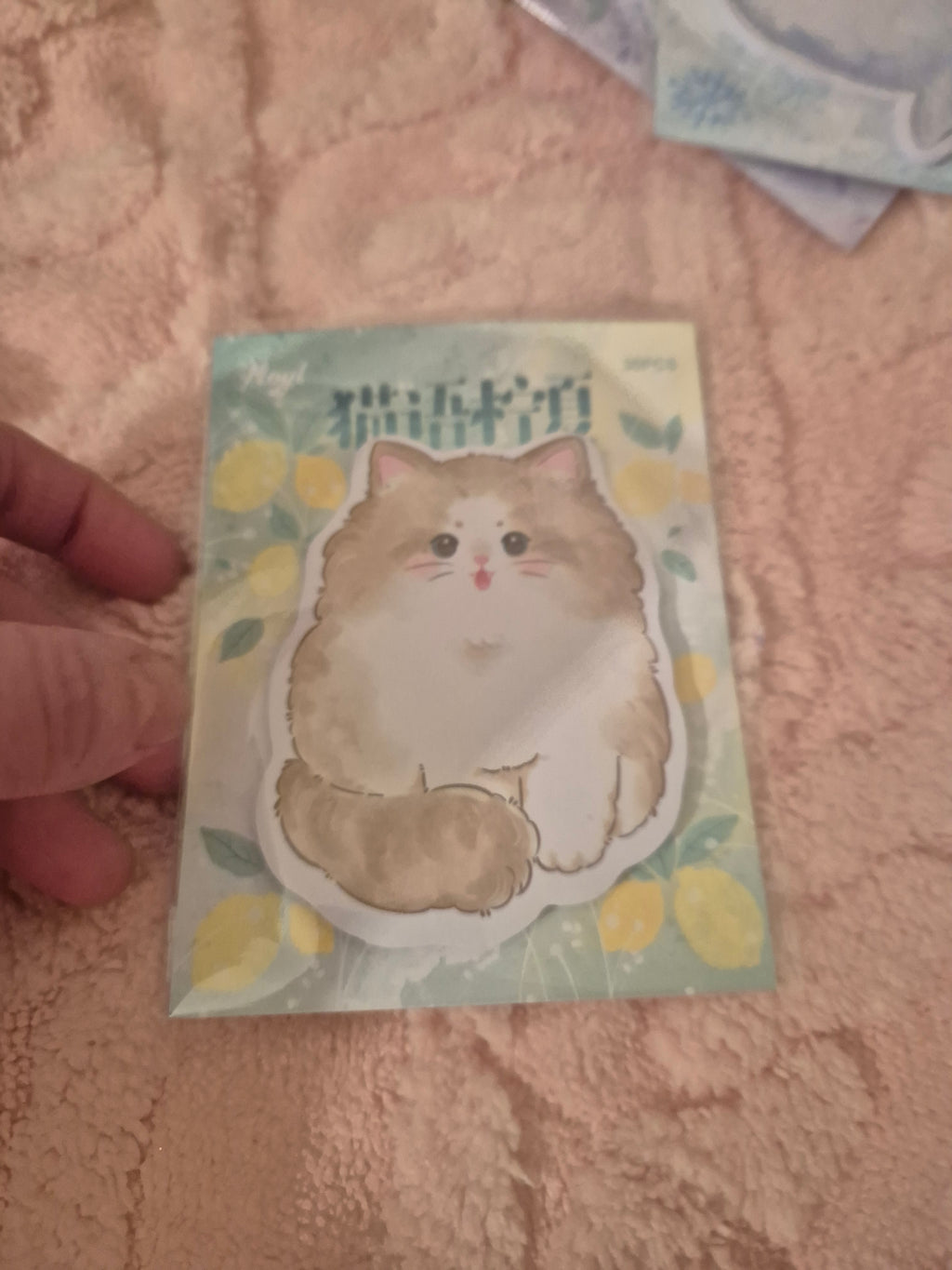 Blocs mémo animaux – Douceur aquarelle