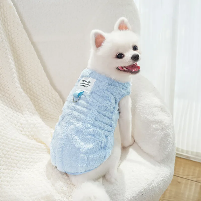🐶 Harnais en laine pour chiens Teddy, Bichon & petits chiens