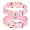 🐶 Collare per cani chic – Cuore con strass