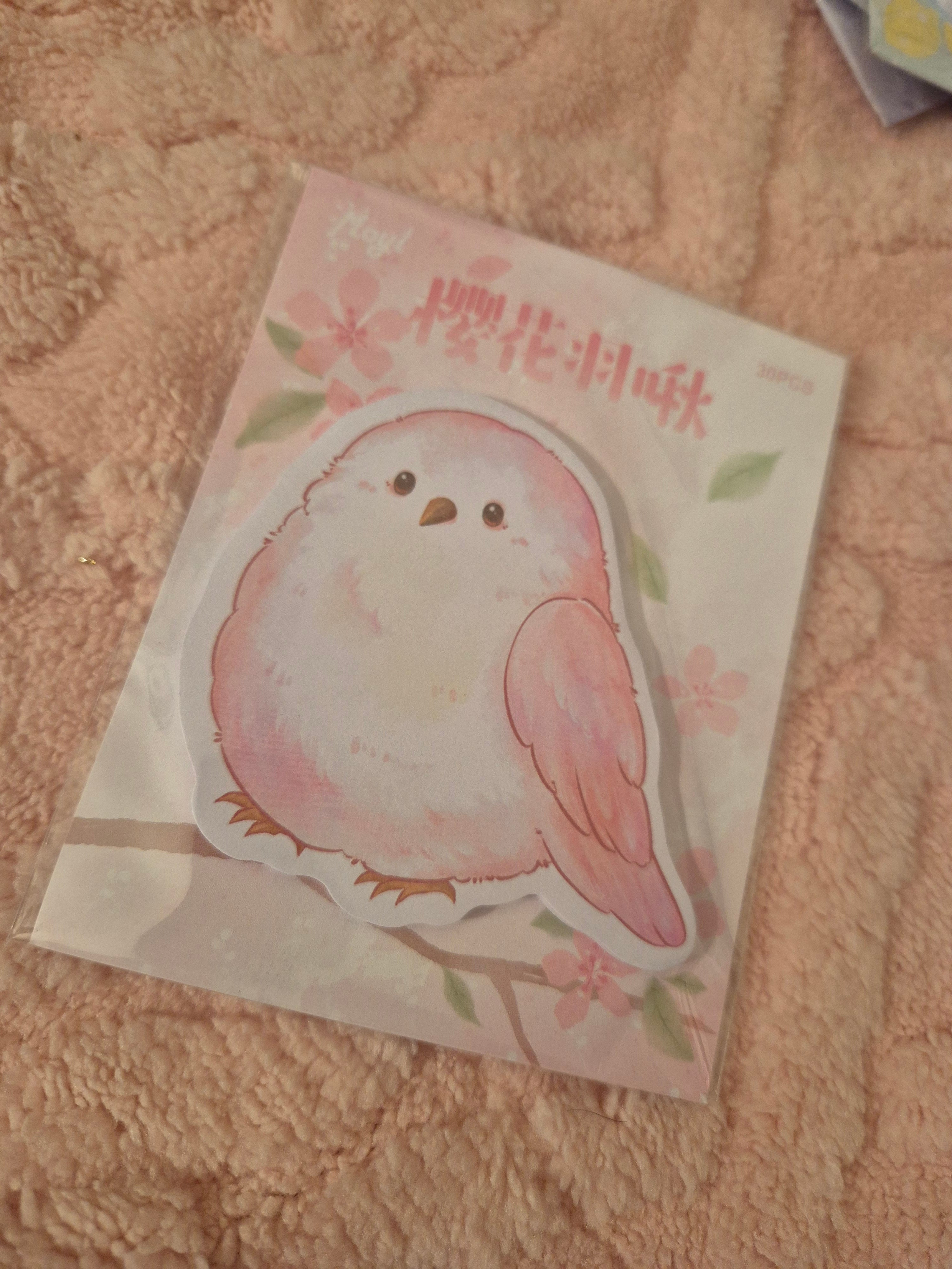 Blocs mémo animaux – Douceur aquarelle