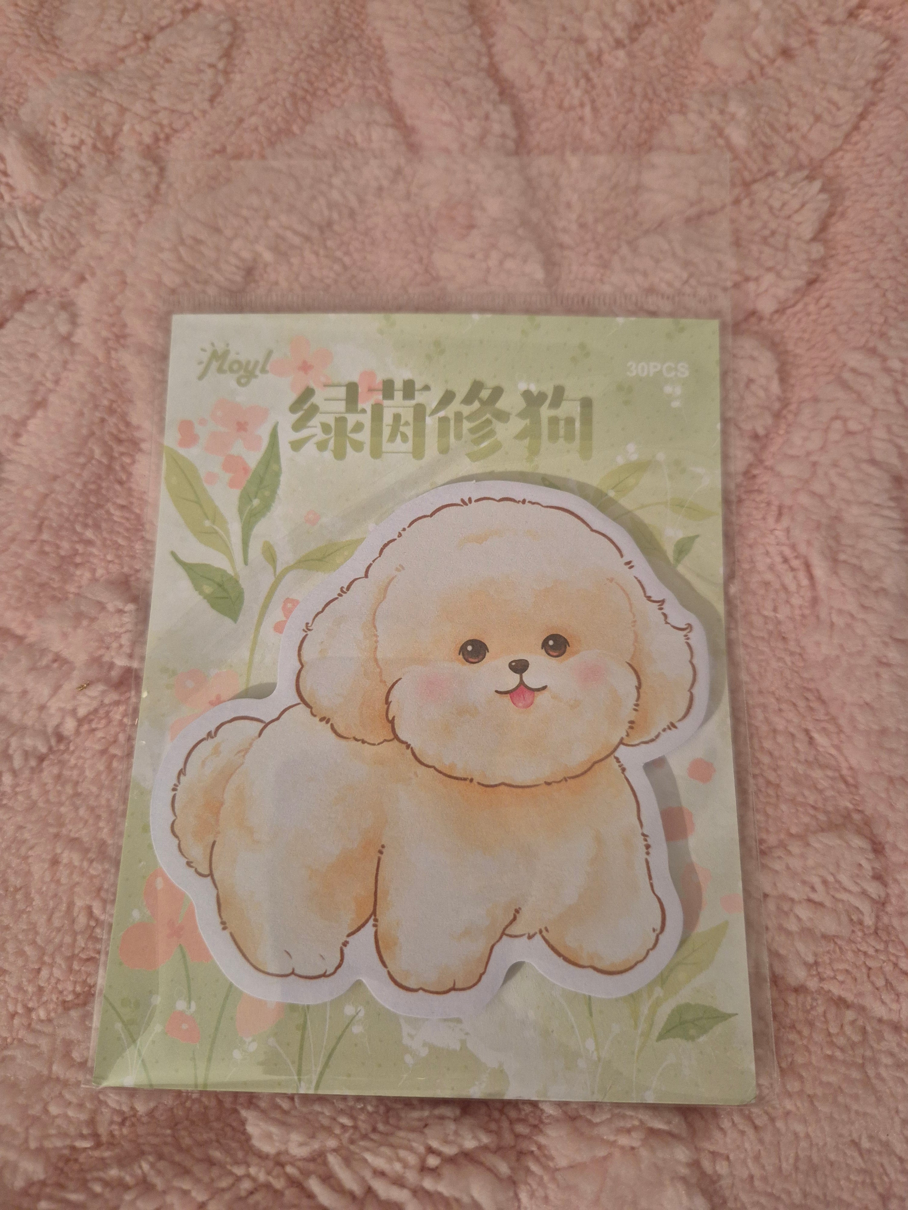 Blocs mémo animaux – Douceur aquarelle