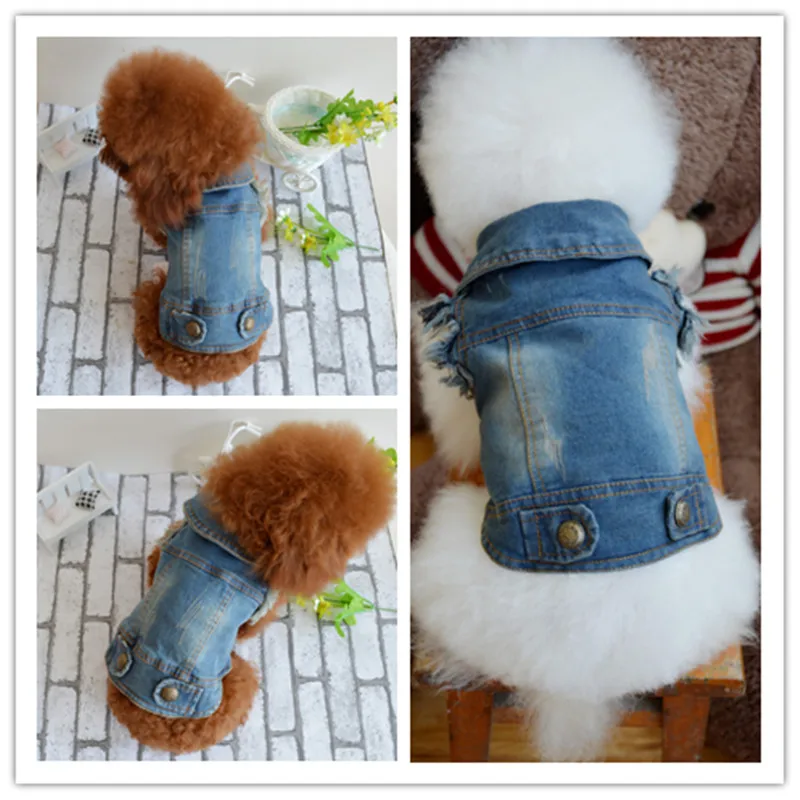 Gilet en jean pour chien – style rétro & cocooning