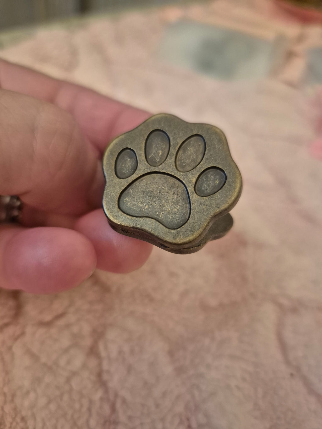 Empreinte de Papouille