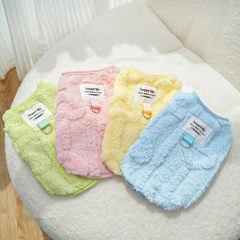 🐶 Harnais en laine pour chiens Teddy, Bichon & petits chiens
