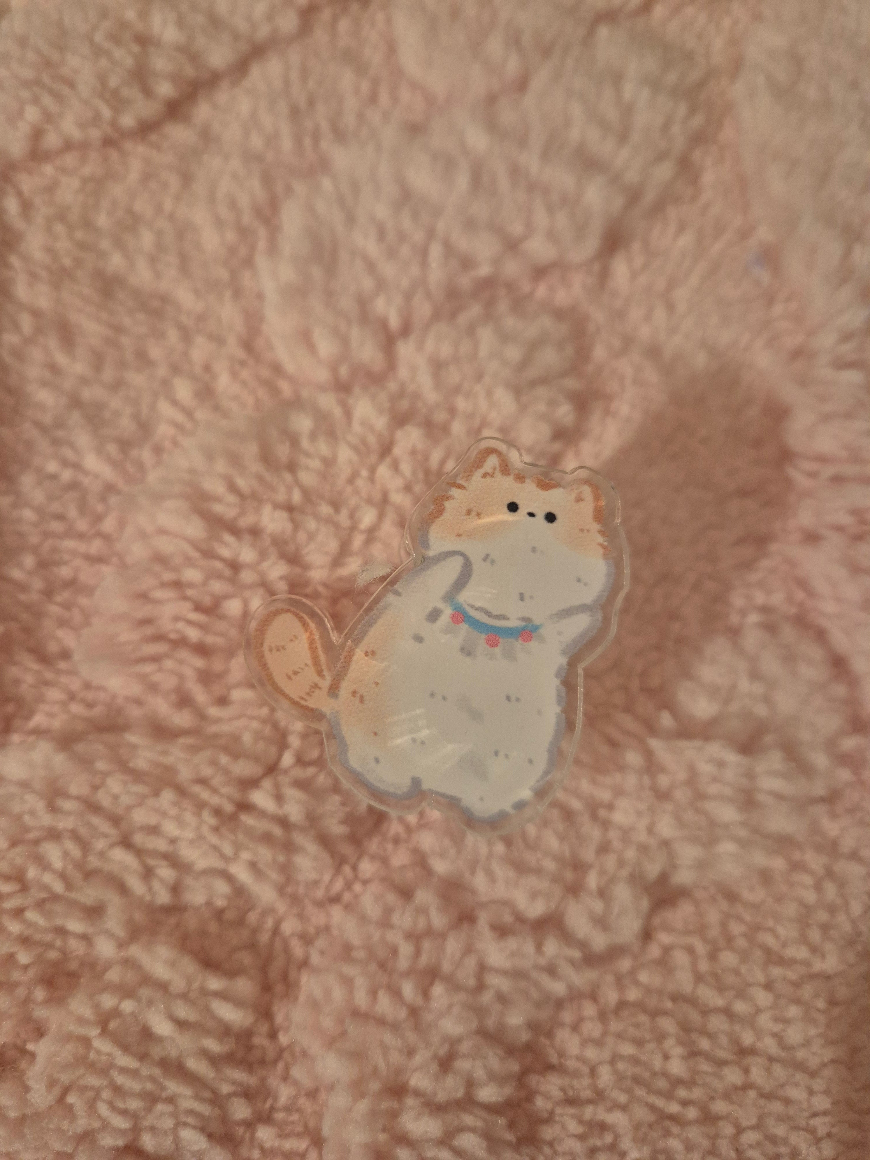 Pince mémo chaton kawaii