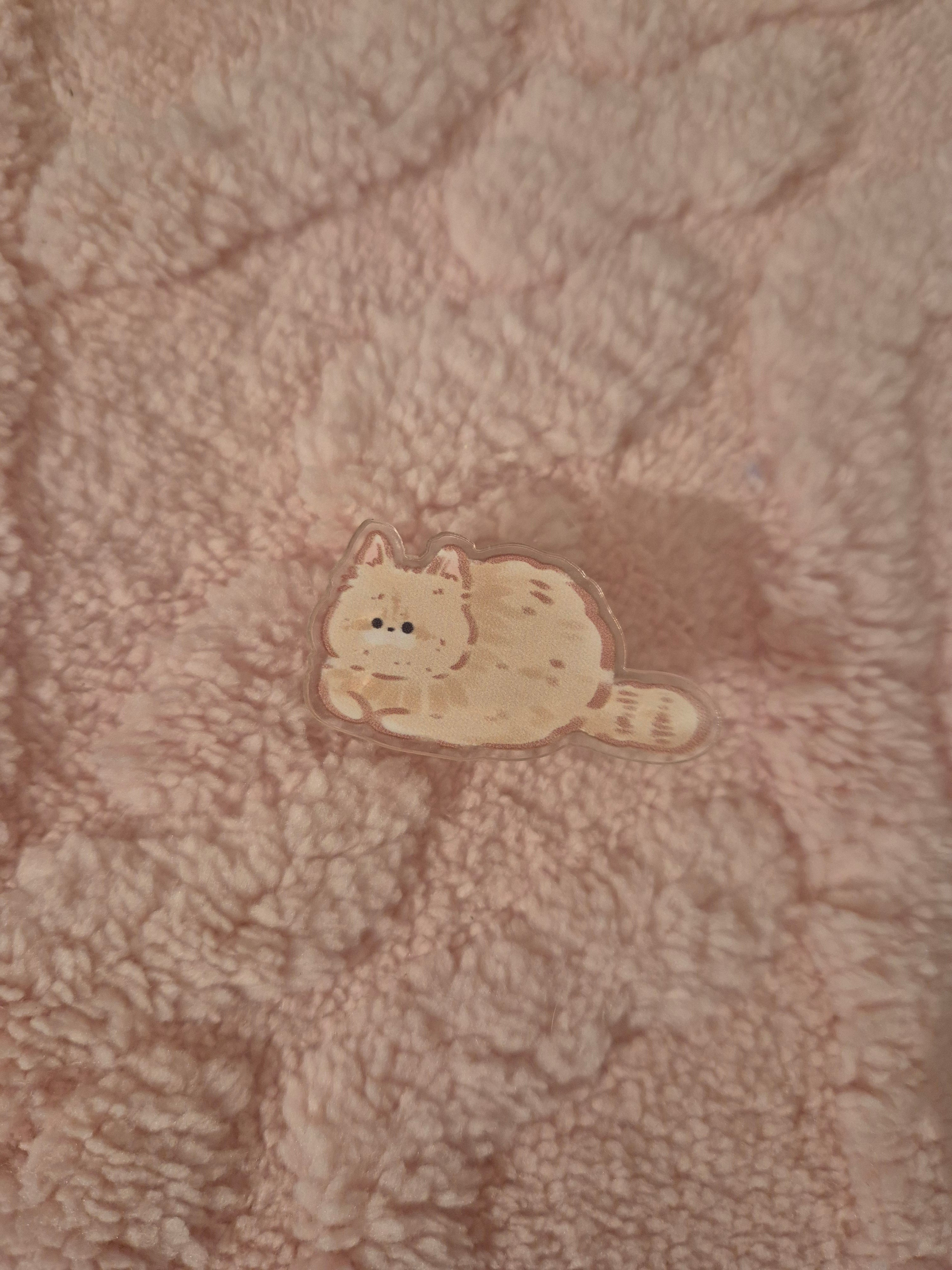 Pince mémo chaton kawaii