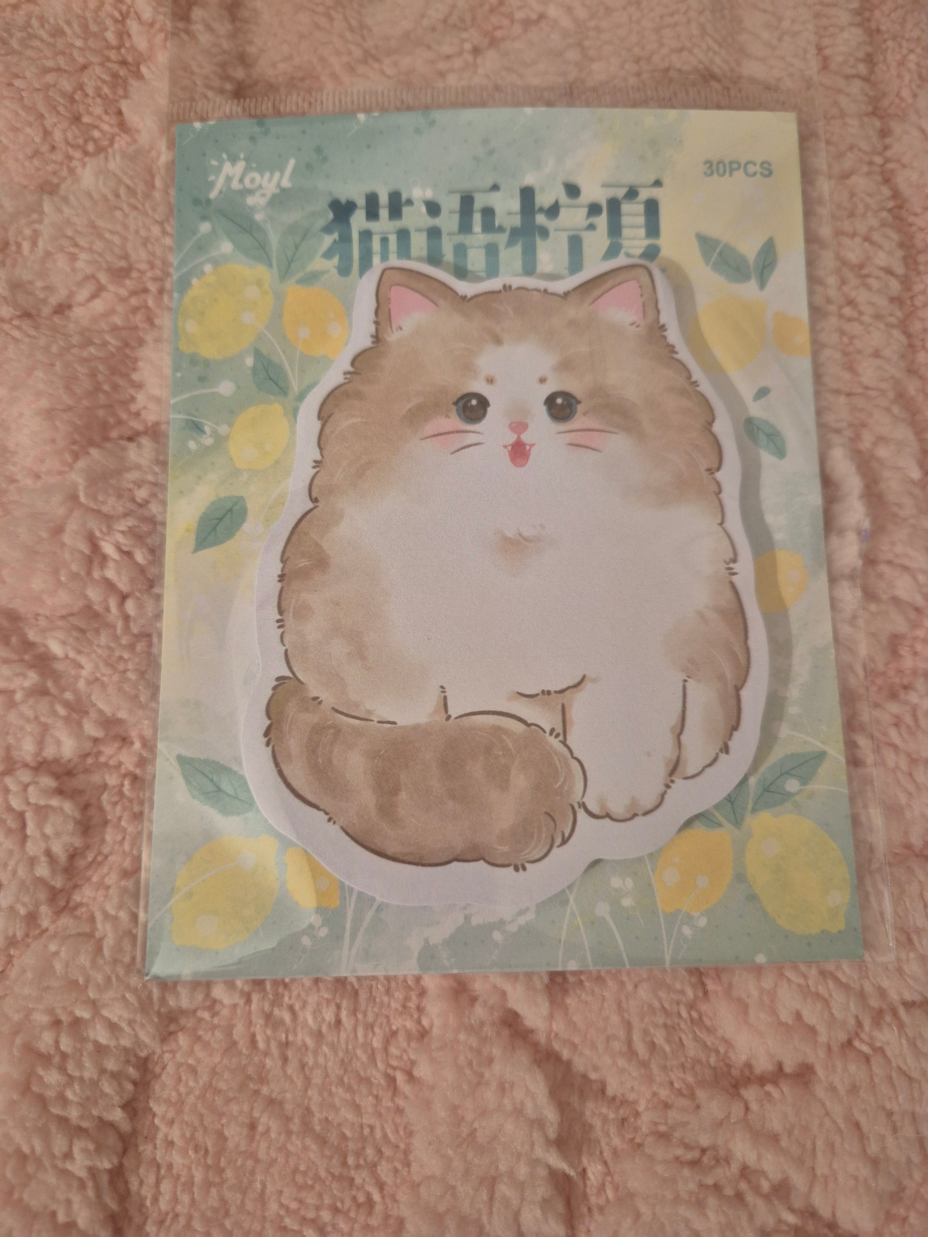 Blocs mémo animaux – Douceur aquarelle